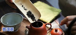 潮汕壶泡普洱茶怎么泡好：掌握正确方法，让茶香四溢