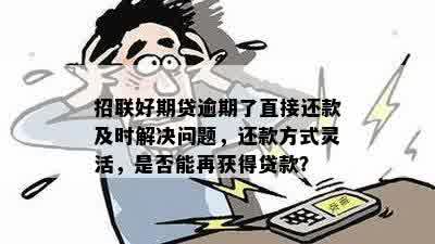 逾期一天的招联还款处理方式：解决方案和建议