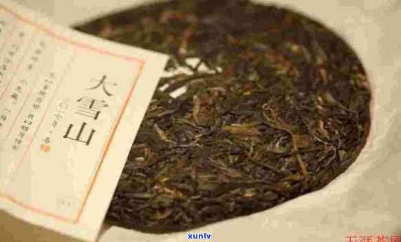 新 '大雪山普洱茶价格，品质与口感的完美结合'