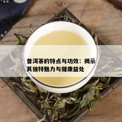 普洱茶的独特功效及其对健的潜在影响