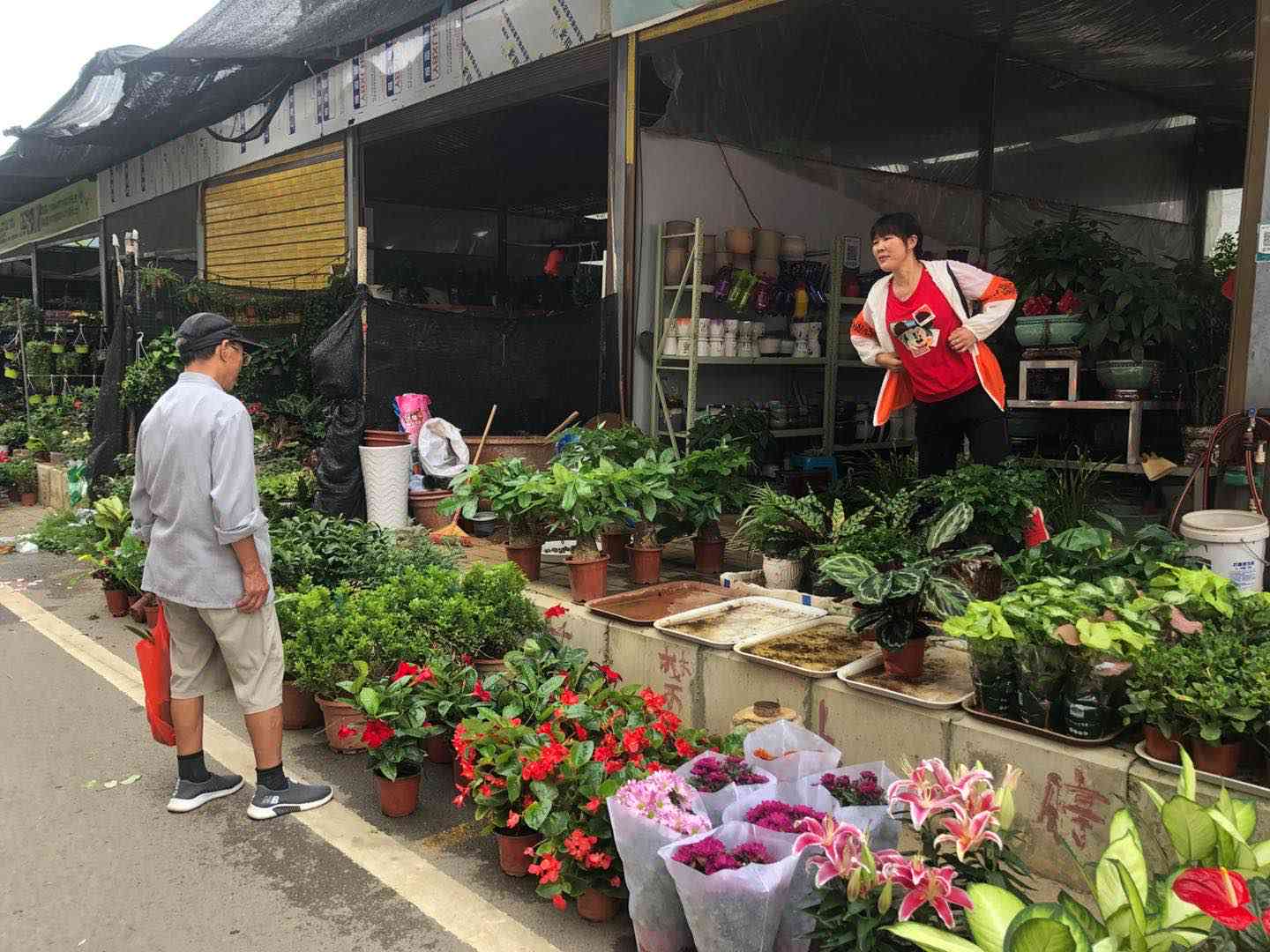 兴义花鸟市场哪里有鸟买：新地址与开放时间