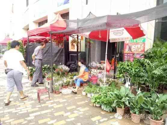 兴义花鸟市场哪里有鸟买：新地址与开放时间