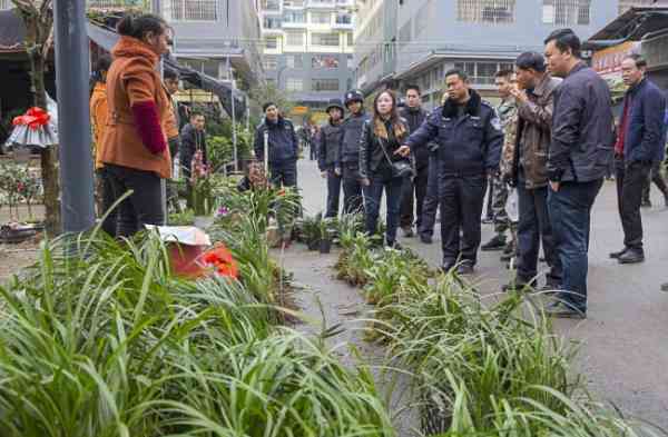 兴义花鸟市场每周开放的具体日期和时间是什么时候？