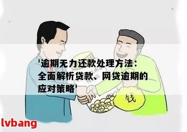 逾期贷款后的救赎：如何妥善处理其他贷款？