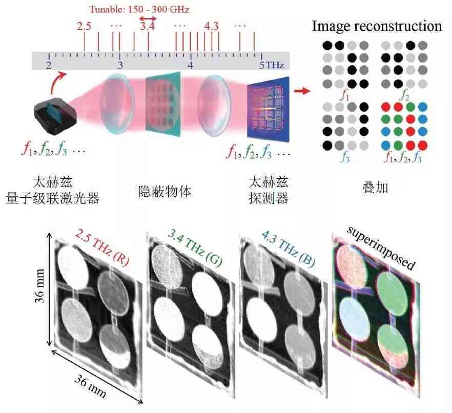 新 '使用太赫兹手串的健康效益与潜在问题：权威研究解析'