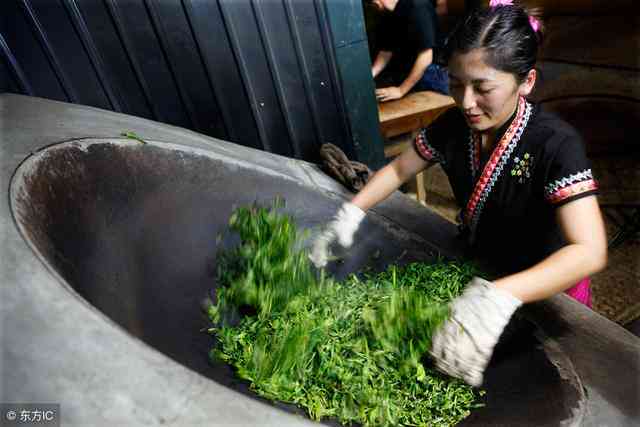 普洱茶干燥技术及其对茶叶品质的影响