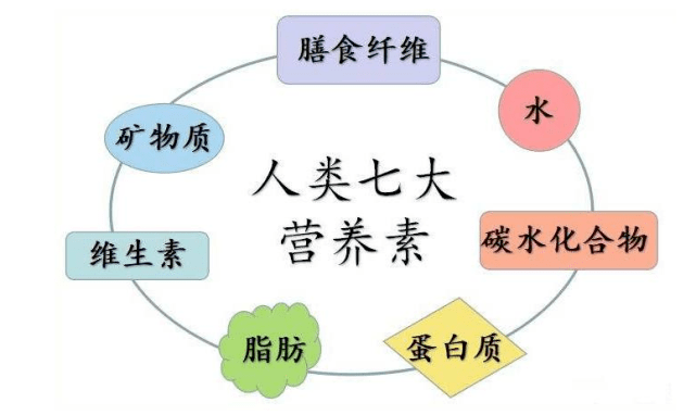 普洱茶中的膳食纤维含量及其健益处探讨