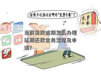 贷款逾期后如何办理期还款？相关政策和步骤全面解析