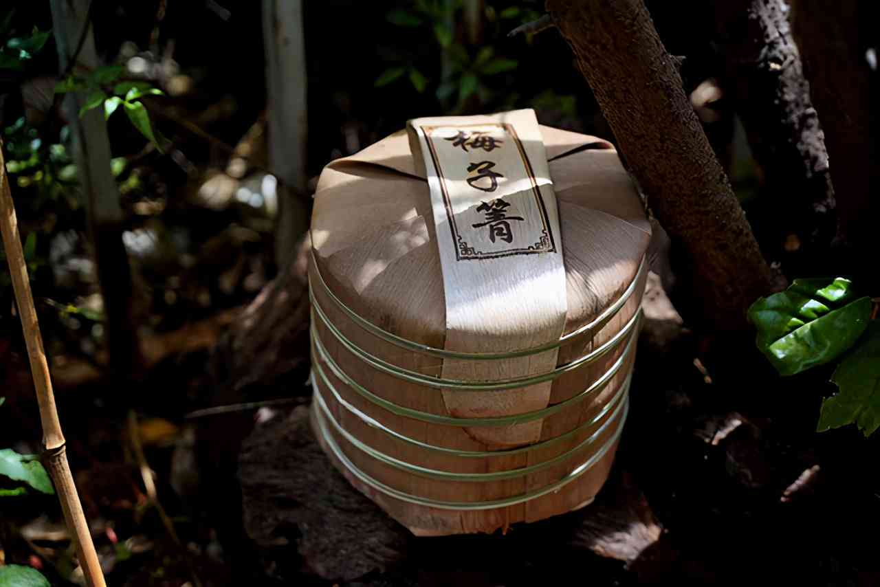 '普洱茶好喝的小众山头推荐'