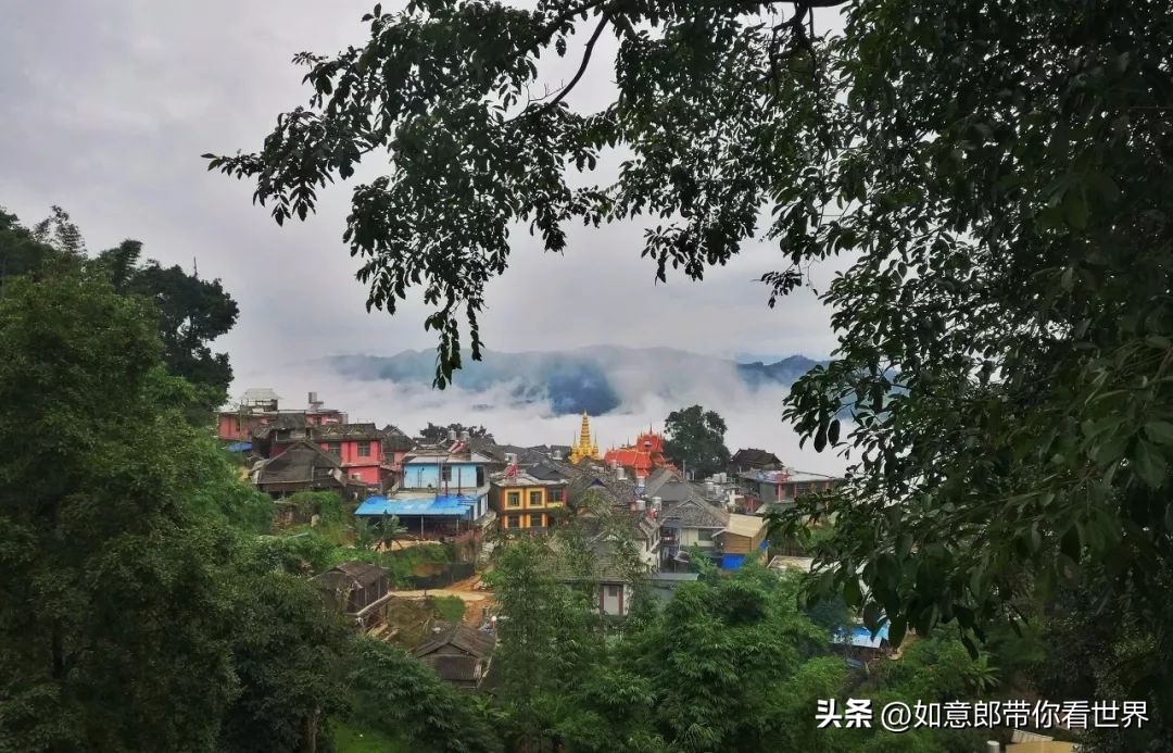 '普洱茶好喝的小众山头推荐'