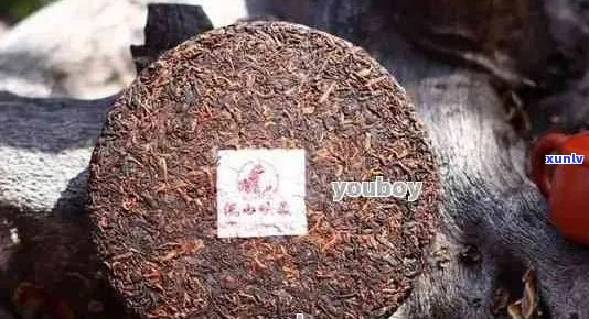 十五年以上的普洱茶饼价格查询：15年普洱茶饼价格解析