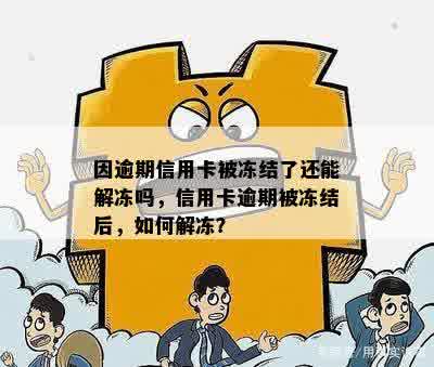 还信用卡被冻结-还信用卡被冻结怎么解冻