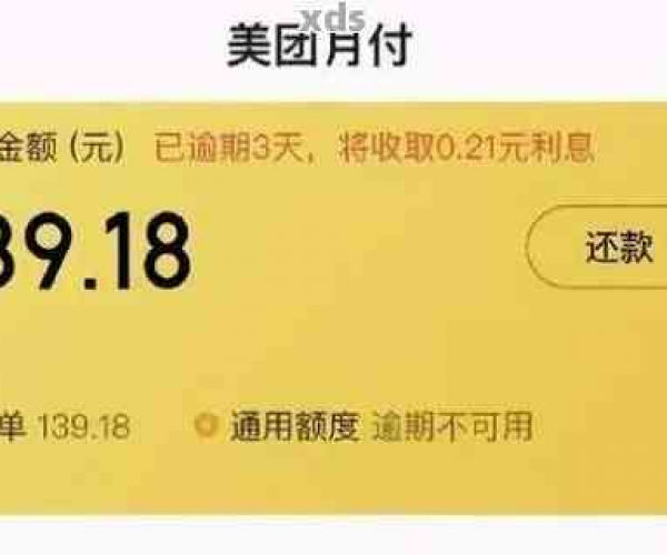 美团月付逾期一天后还款了，为什么仍无法使用？解决方法及可能原因全解析