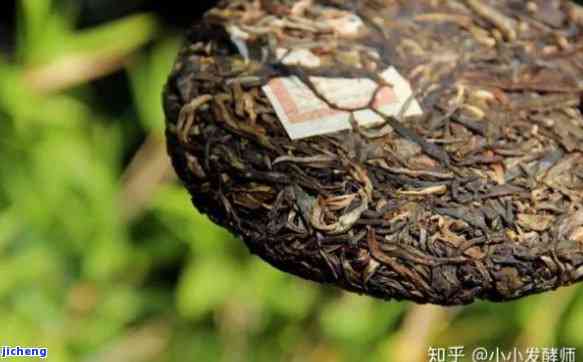 普洱茶饼哪种口感？如何选择适合自己的普洱茶饼？