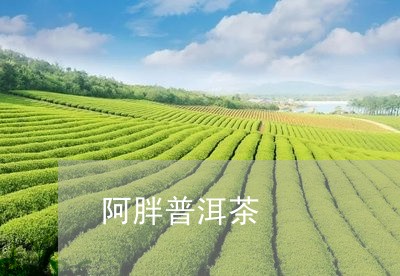 阿珍11201普洱茶