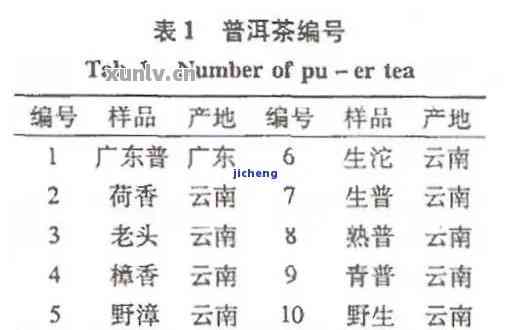 健身爱好者的首选：探究健身牌普洱茶24131数字背后的秘密