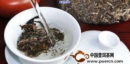 韵天下普洱茶：品种、功效、泡法、购买指南，一篇全面了解普洱茶的文章