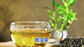 云南金丝茶特点：香气浓，滋味醇厚，带有独特的花香和果香