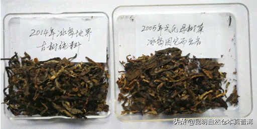 包装像巧克力的普洱茶多少钱一盒：这种奇特包装下的茶叶特点是什么？