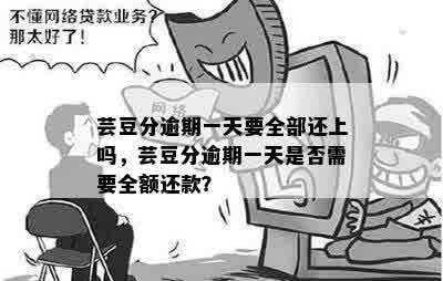 芸豆分逾期一天还了全款还能借吗：当期逾期后果及再借款可能性