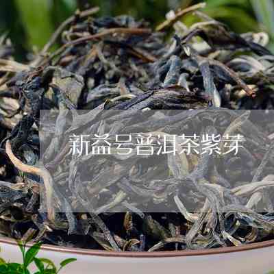 新益号茶叶普洱茶散茶精选大全