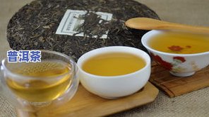 新 大益普洱茶：熟茶与生茶的全面对比，哪个更适合你？