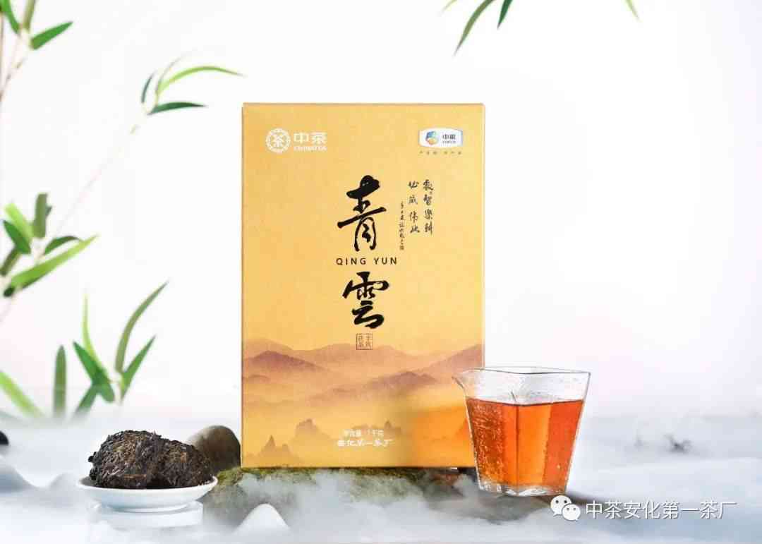 中茶皇家茶园：天尖黑茶，700克手筑茯茶价格详解