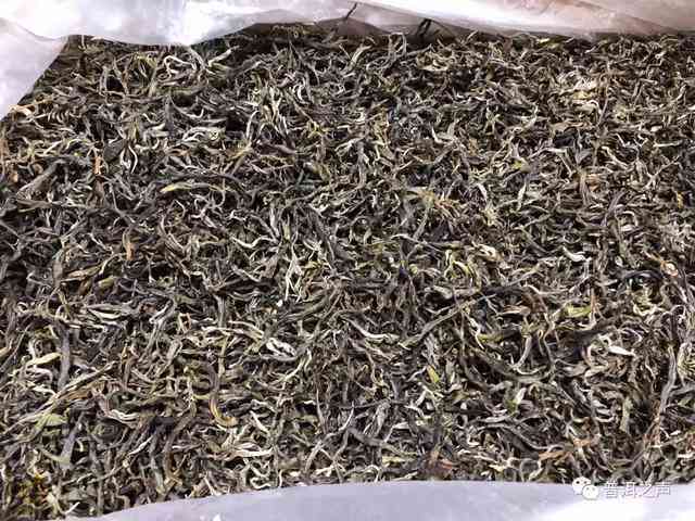 哪个茶区的普洱茶最适宜长期存？