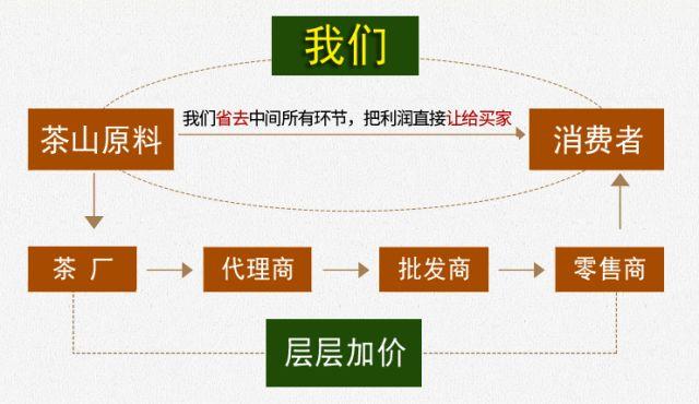 普洱茶源头供应链直播