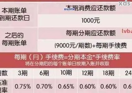 逾期还款攻略：每天还一点，助您顺利渡过难关