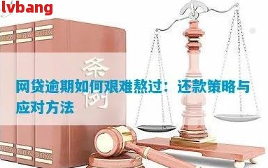 逾期还款攻略：每天还一点，助您顺利渡过难关