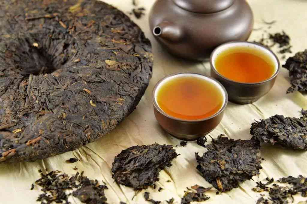 普洱茶小原形：揭秘古树茶的起源与制作工艺