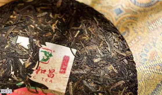 海普洱茶优质品尝地点推荐：哪里的普洱茶更美味？