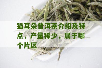 猫耳朵普洱茶：产自哪个云南普洱茶山片区的特色茶叶？