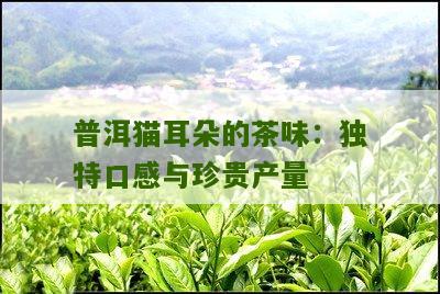 猫耳朵普洱茶：产自哪个云南普洱茶山片区的特色茶叶？