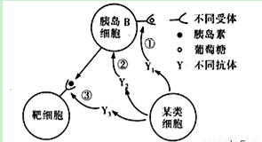 白玉中绿意：四类潜在疾病警示信号