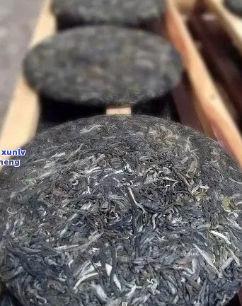 新探究普洱茶重量：每一块茶叶的克数及其影响因素