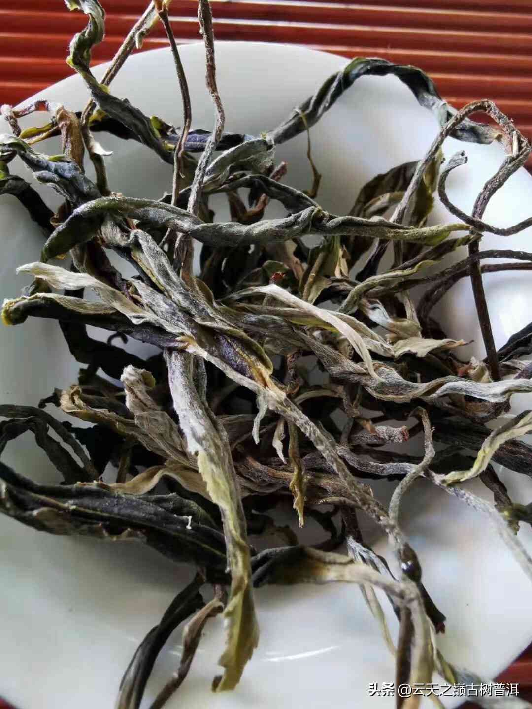 石家哪里有普洱茶卖？最近价格是多少？