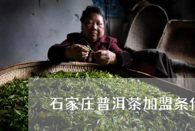 石家有普洱茶吗最近