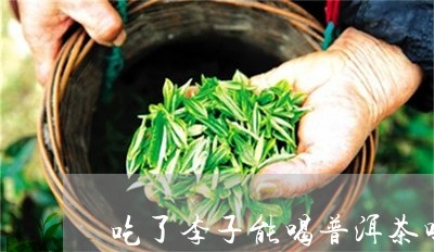 普洱茶小李子是什么茶