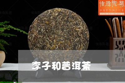 普洱茶小李子是什么茶