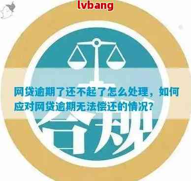 被拘留期间如何应对网贷逾期问题：实用指南