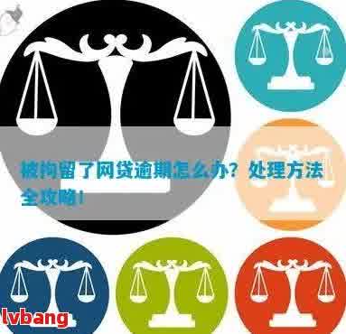 被拘留期间如何处理网贷逾期问题：一份全面解决方案