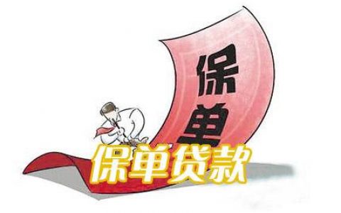 保单信用贷款还不上会怎么样-保单信用贷款还不上会怎么样吗