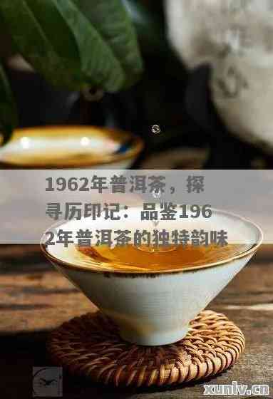 新 2009年珍藏版1926普洱茶：历、品质与传承的故事