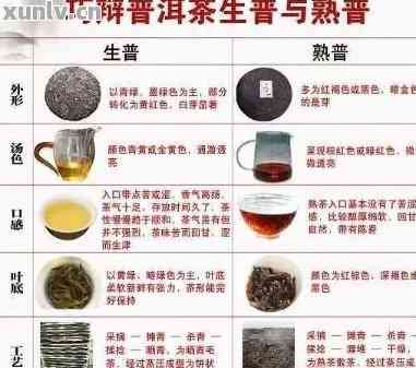 普洱茶的茶滋味有哪些种类：特点、醇厚口感解析