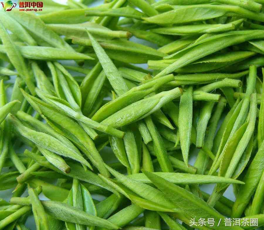 普洱茶的茶滋味有哪些种类：特点、醇厚口感解析