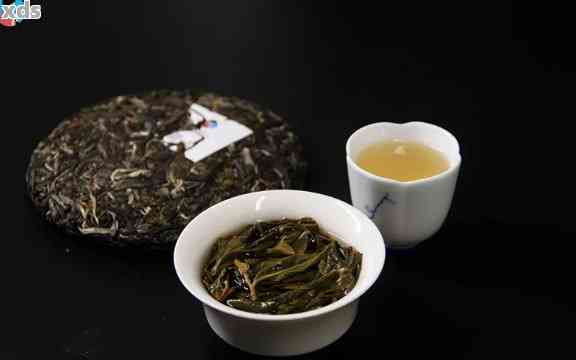 普洱茶生茶送茶壶好吗多少钱：价格与品质分析