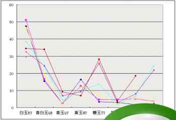 羊脂玉：价格波动、品质鉴别与市场趋势分析