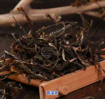 无量山茶属于哪个茶区-无量山茶属于哪个茶区的